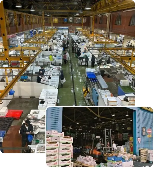 Businesses utilising SyncVue save time and money