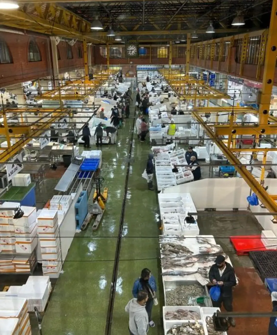 Businesses utilising SyncVue save time and money